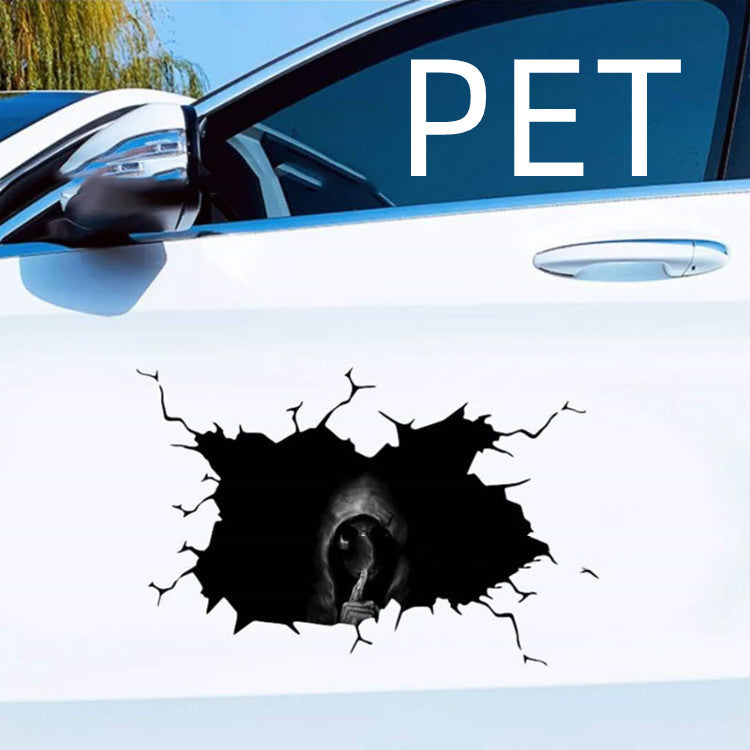 Car body sticker