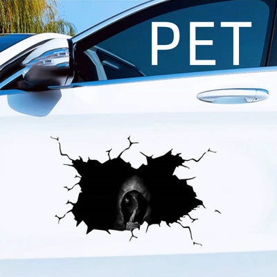 Car body sticker